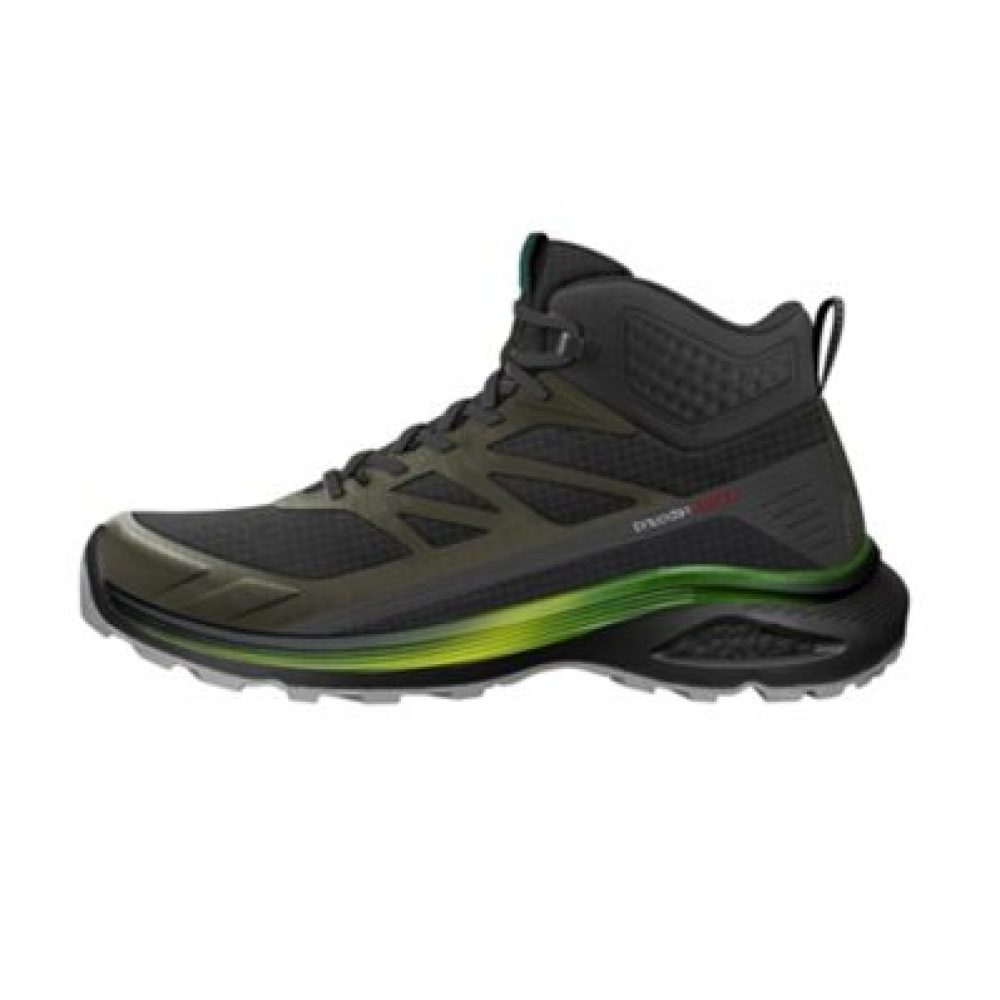 BL Mid L0295